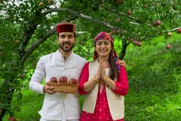 Namaste Ambertale - Peaceful orchard greeting